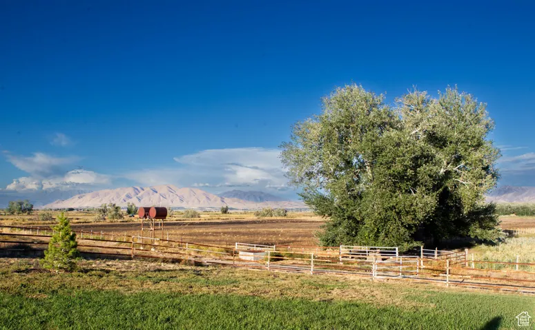 View of yard featuring a mountain view and a view of rural / pastoral area