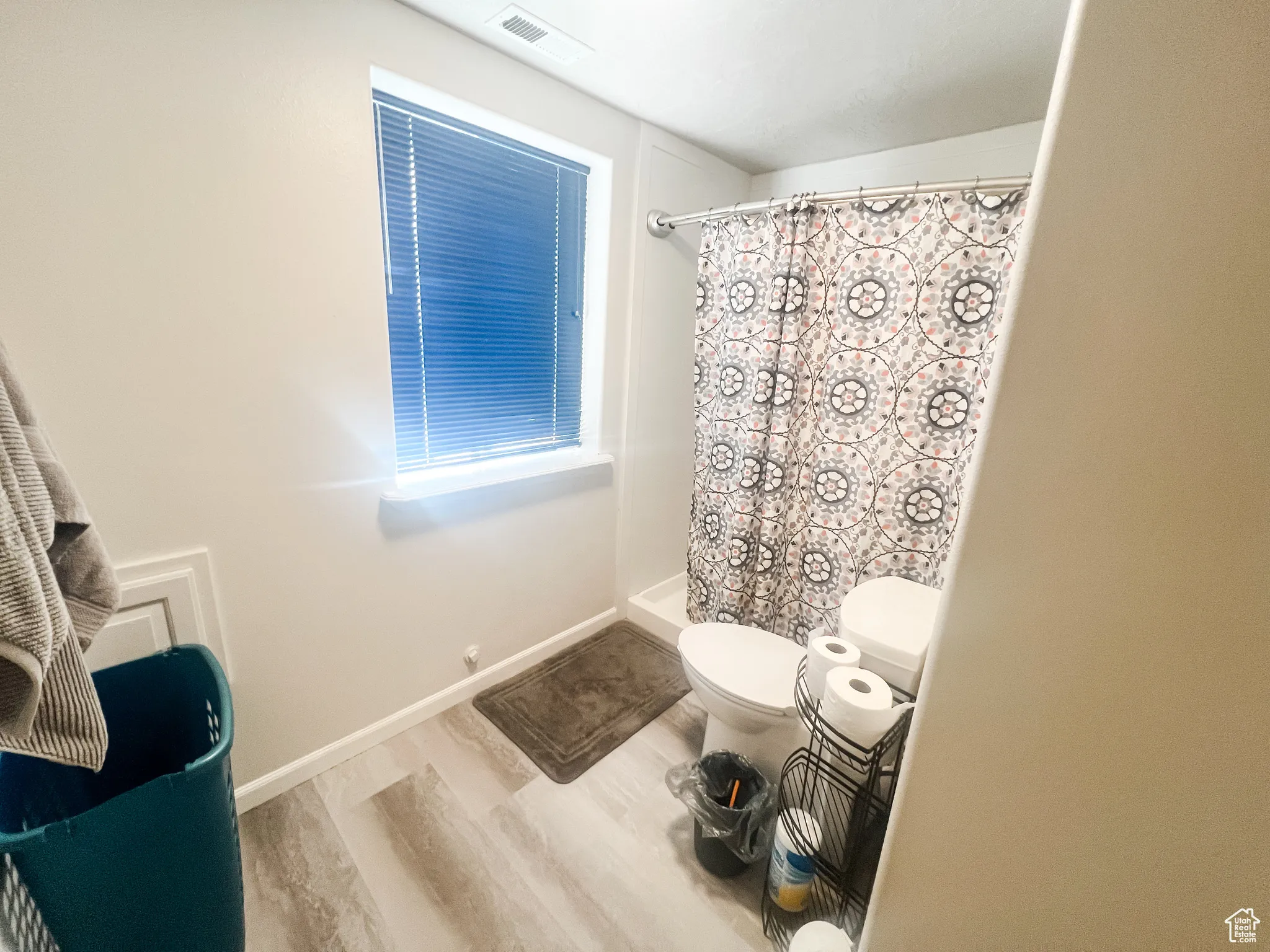 Basement Bathroom