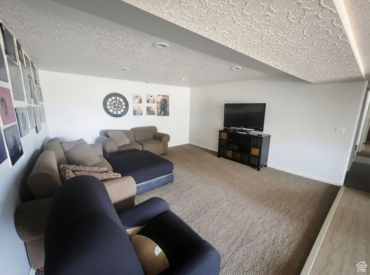 Basement Family Room