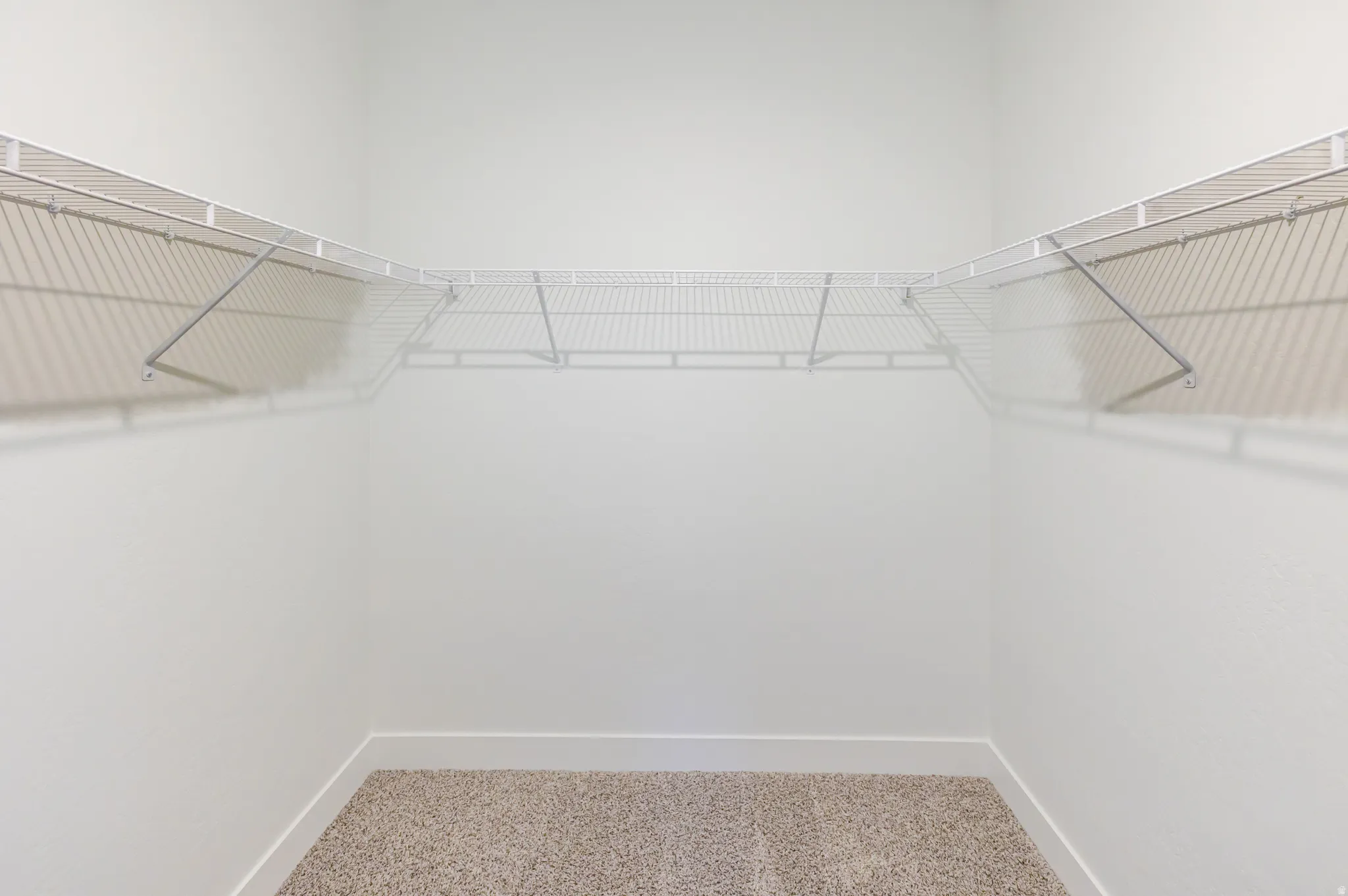 Walk in closet featuring light colored carpet