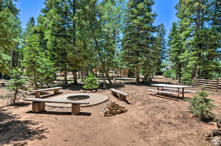 View of yard with view of wooded area