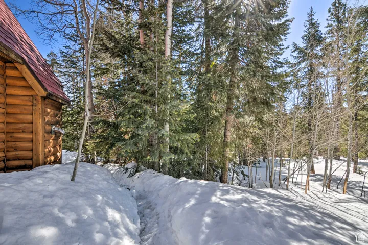 Yard covered in snow with view of scattered trees
