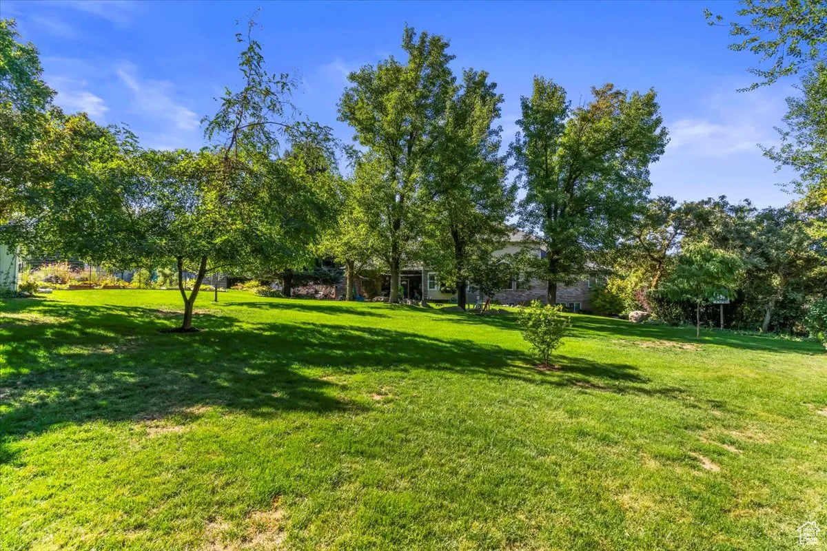 View of grassy yard with view of wooded area