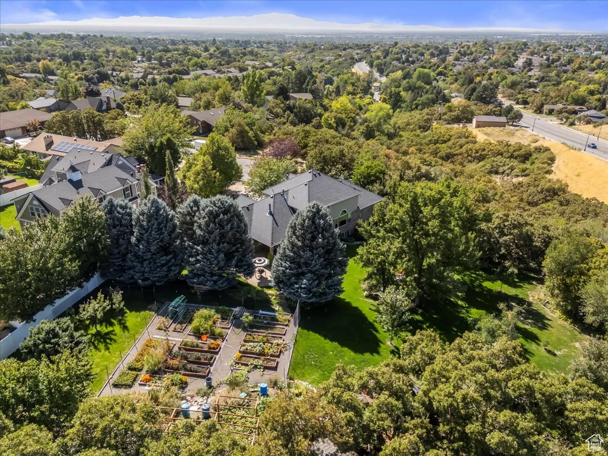Aerial view of a tree filled landscape