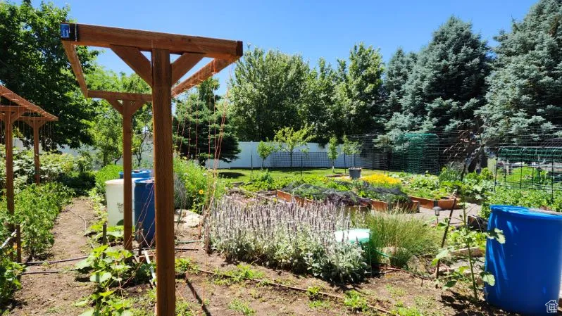 View of yard featuring a vegetable garden and a pergola