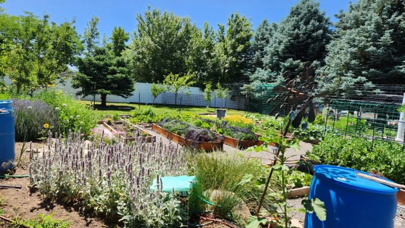 View of yard with a vegetable garden