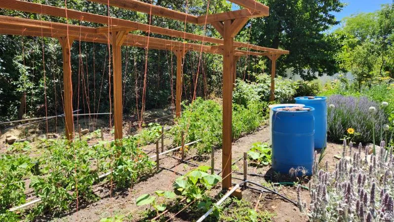 View of yard with a vegetable garden