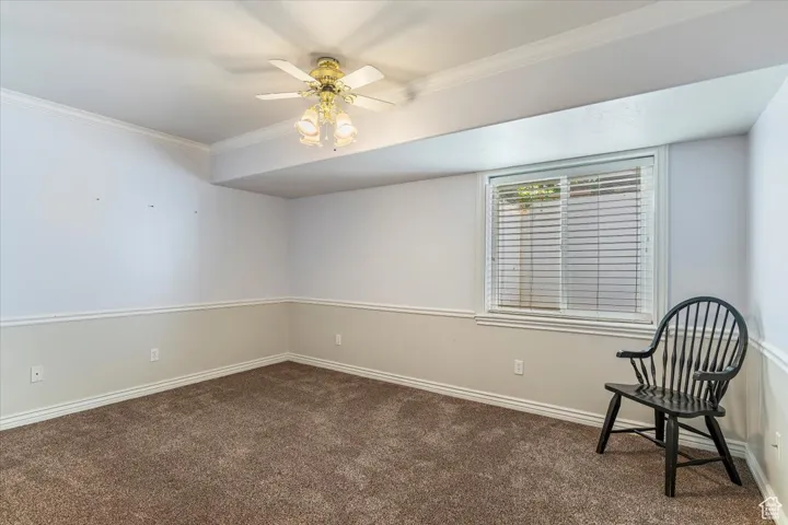 Unfurnished room featuring crown molding, a ceiling fan, and carpet