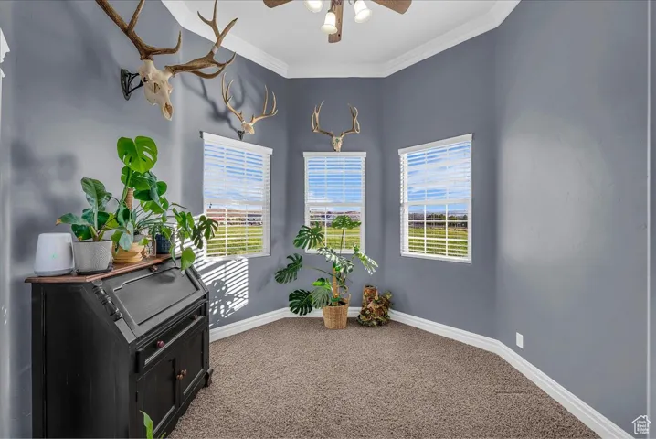 Sitting room featuring plenty of natural light, carpet, ceiling fan, and crown molding