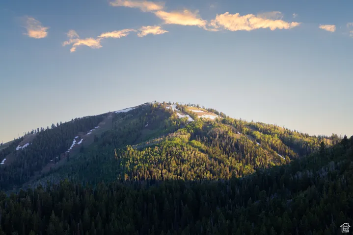 Mountain view featuring a forest