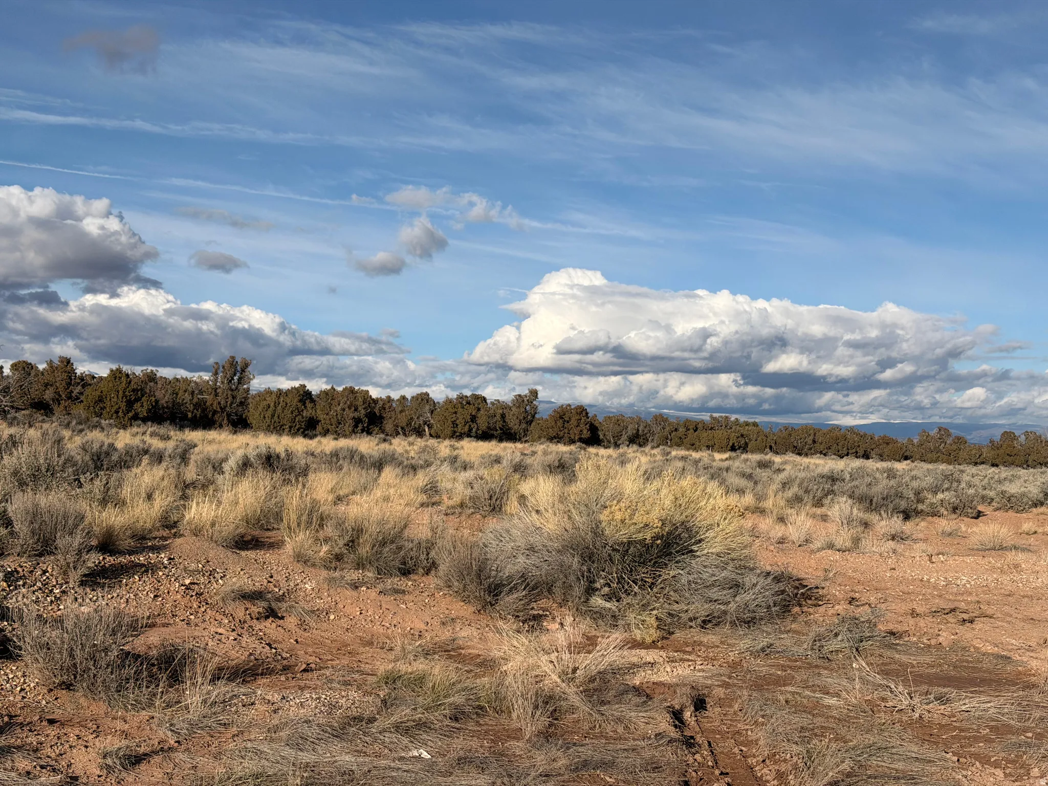 View of undeveloped land featuring rural landscape