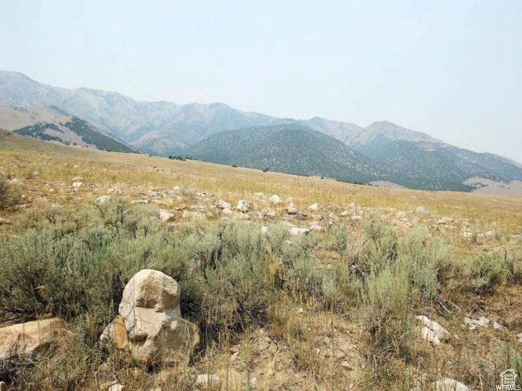 View of mountain background