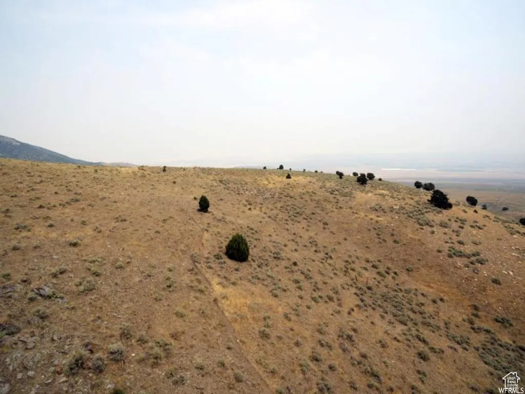View of yard with a view of rural / pastoral area