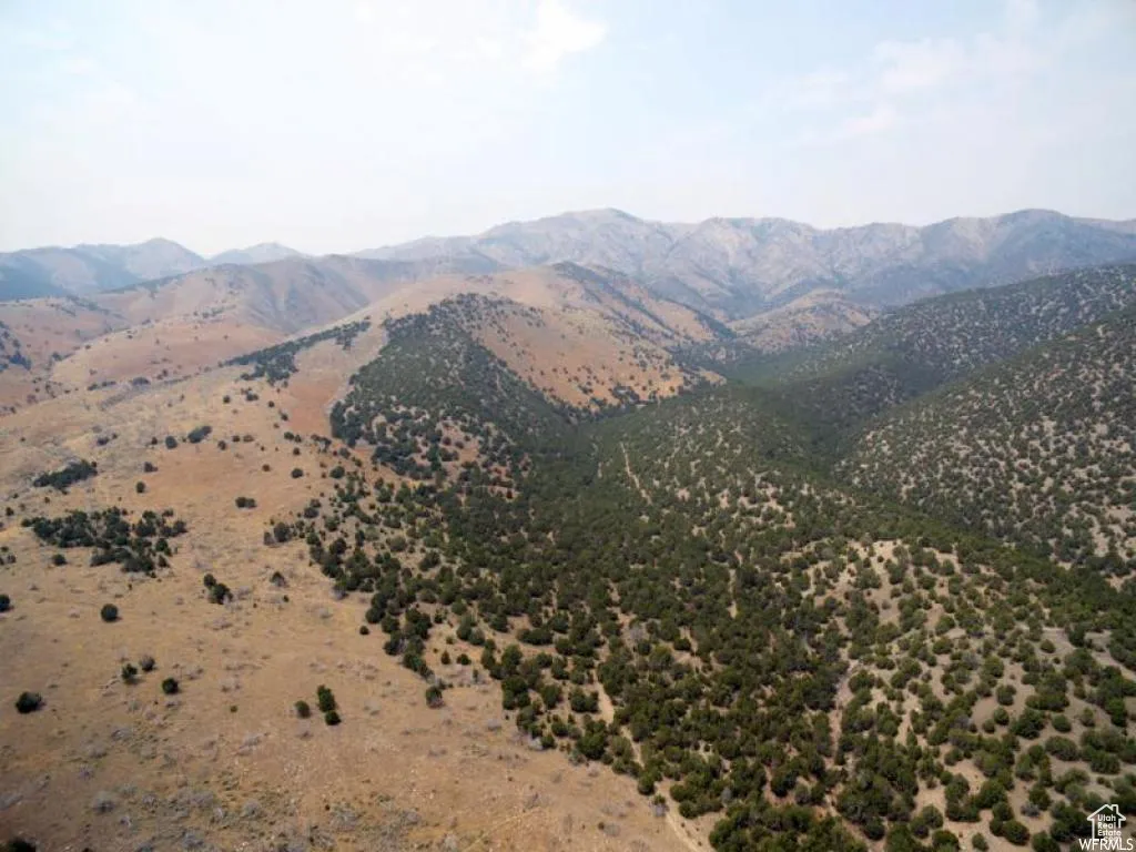 View of mountain background