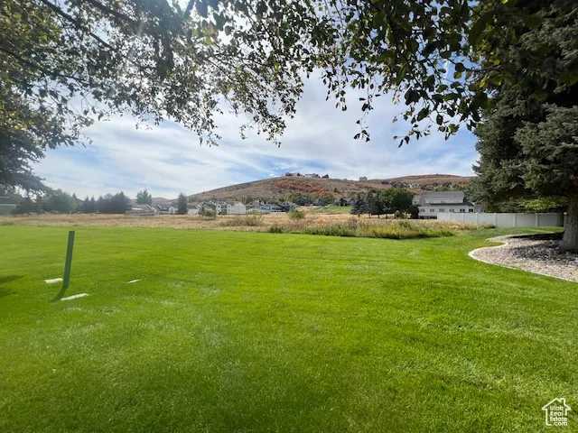 View of green lawn