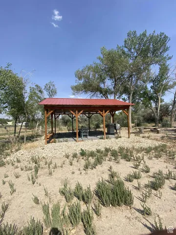 View of yard featuring a patio area