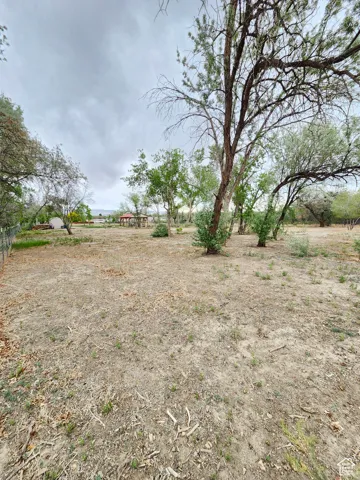 View of yard with a view of rural / pastoral area