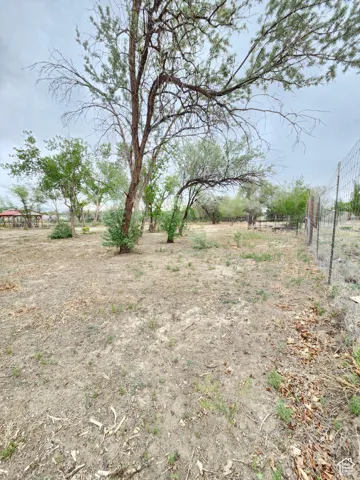 View of yard featuring a view of rural / pastoral area