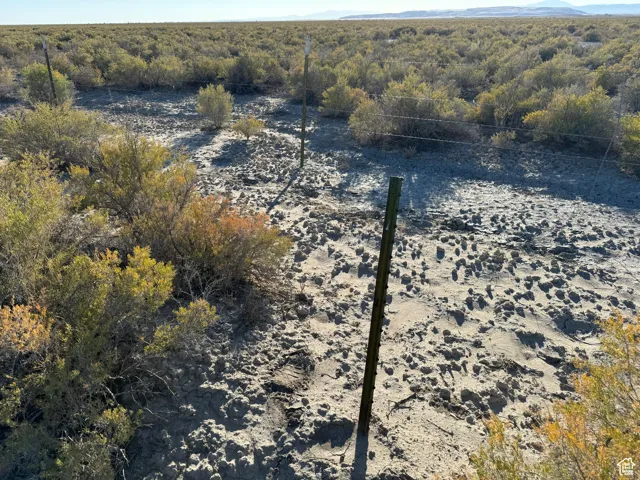 Aerial view of property and surrounding area featuring a forest