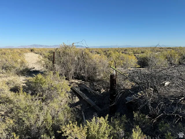 View of local wilderness with a mountain backdrop