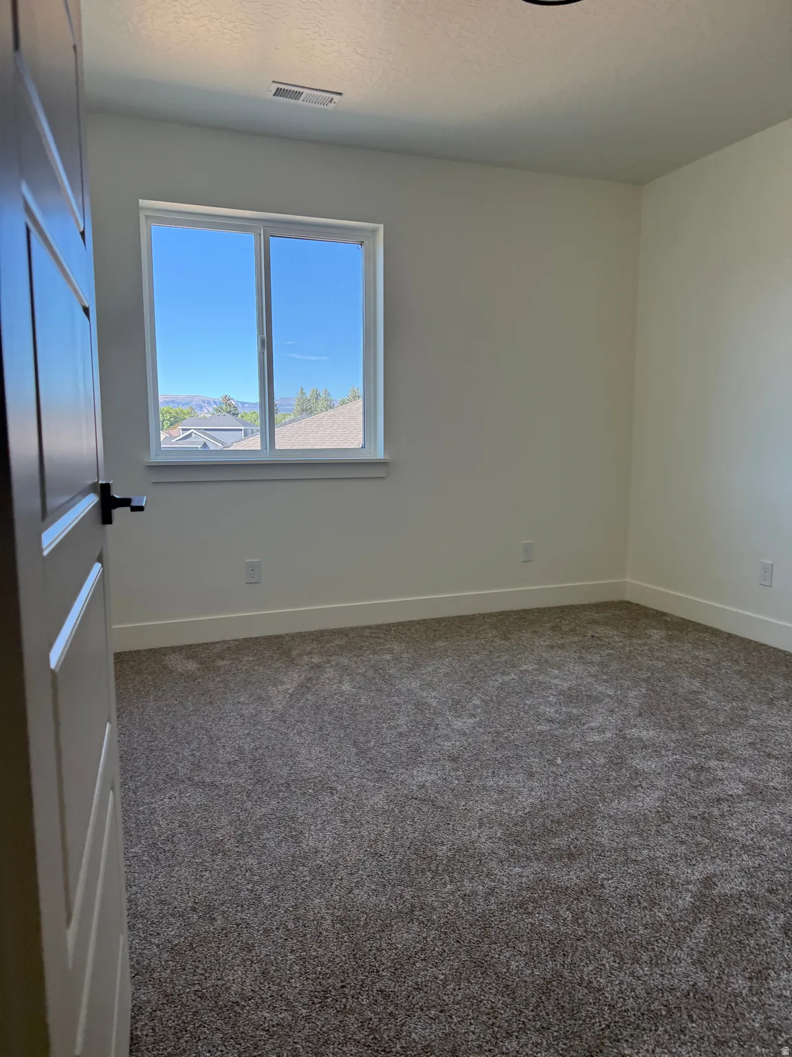 Neutral wall tones with a window, textured carpeting, and a paneled door with dark hardware