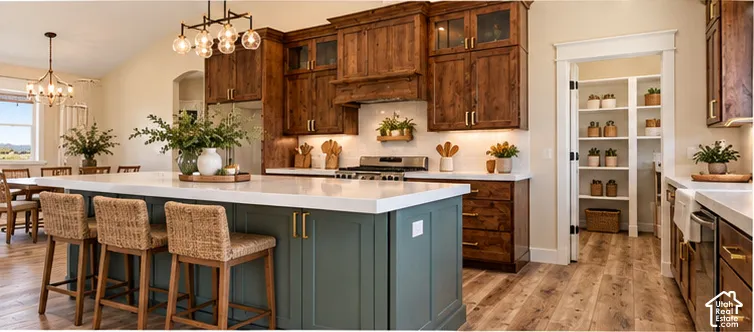 Spacious kitchen featuring a large central island, LVP with wood-finish looking flooring, custom cabinetry with glass accents, stainless steel appliances, and a walk-in pantry