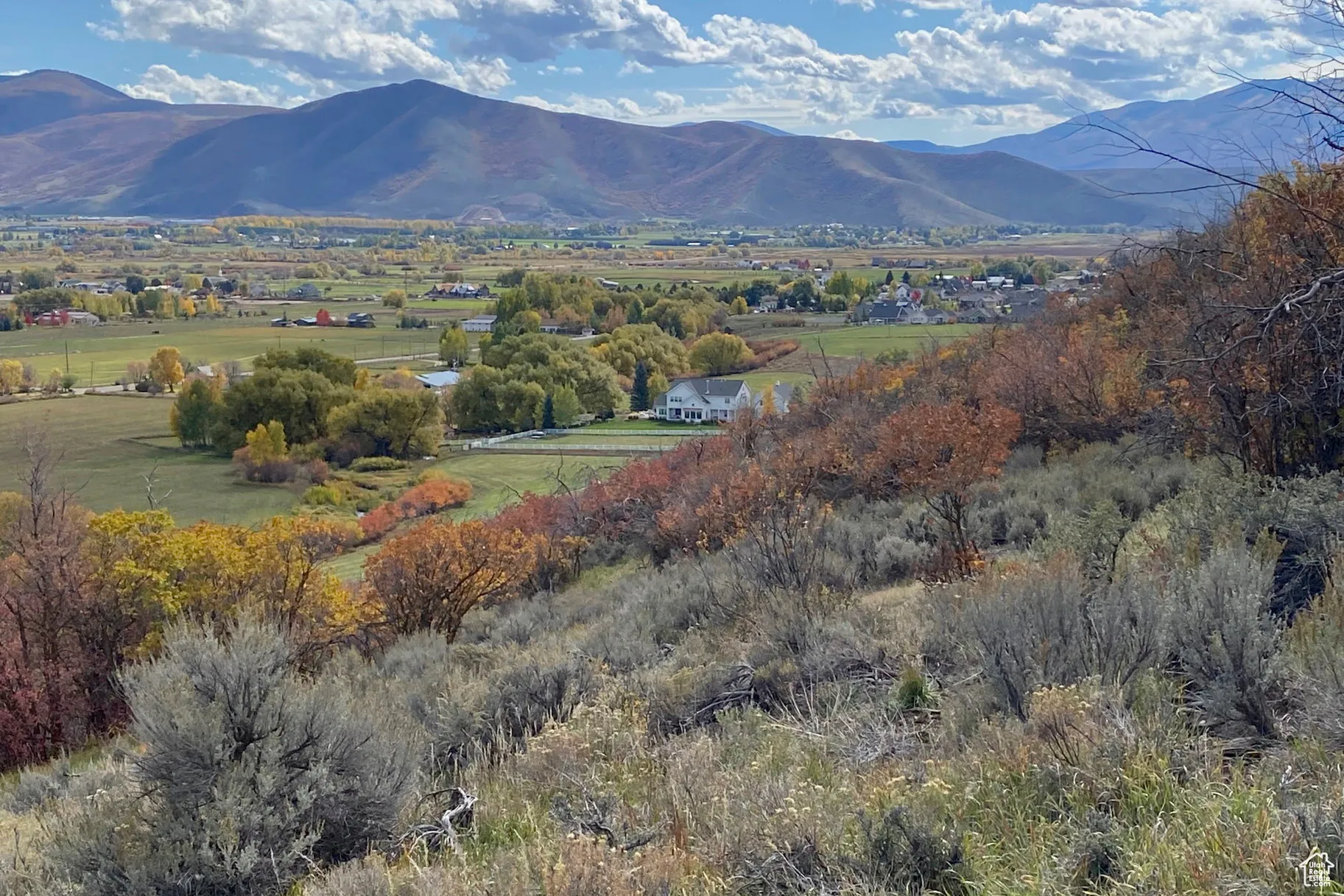 Mountain view with a tree filled landscape