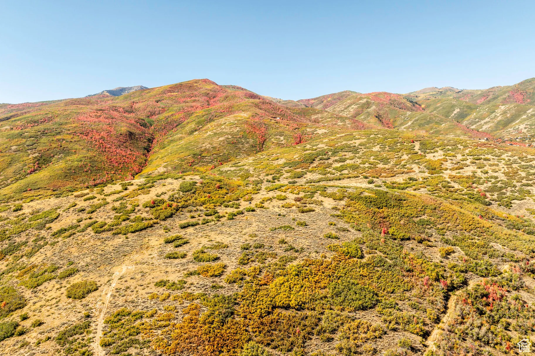View of mountain background