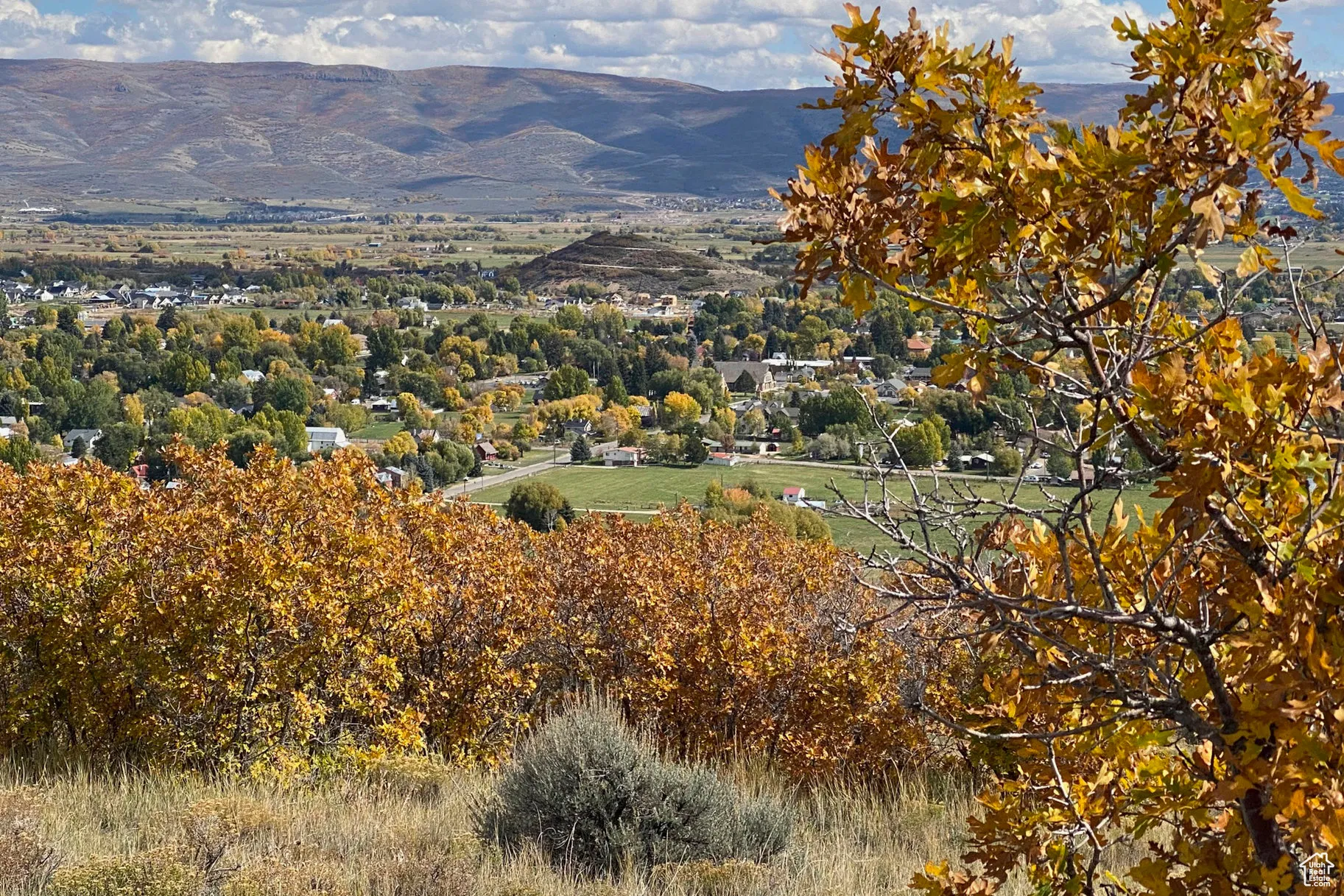 Mountain view