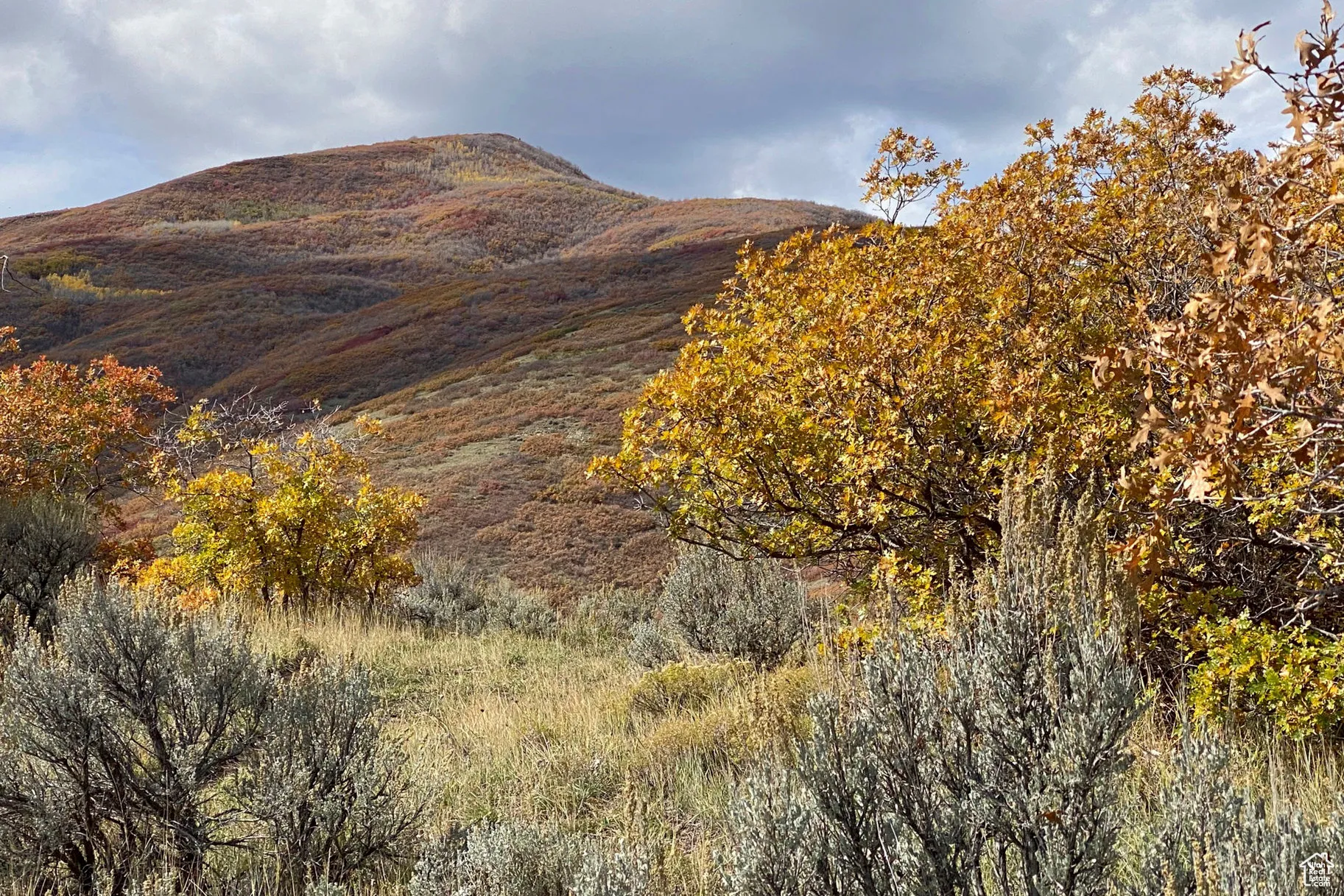 View of mountain backdrop