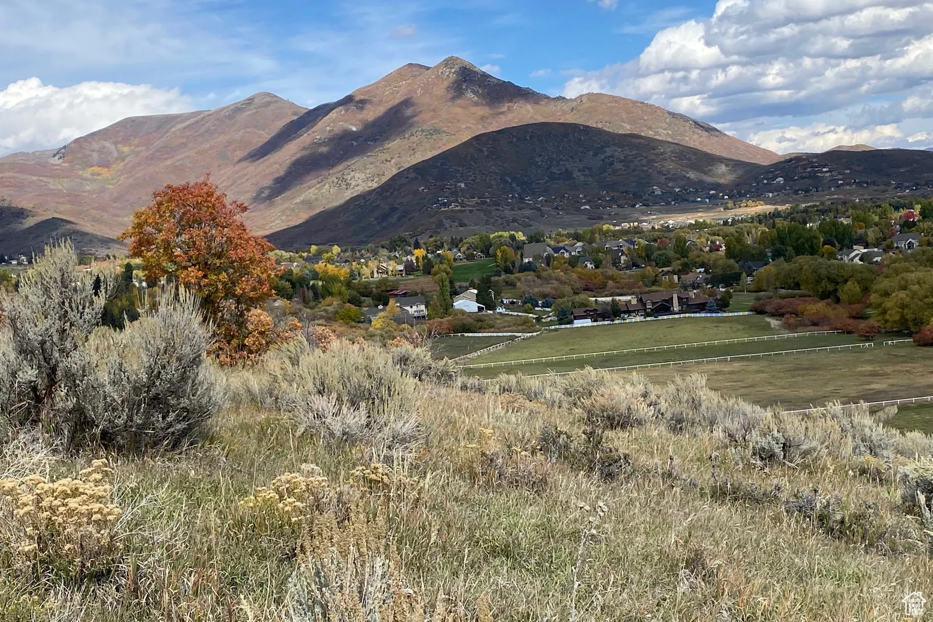 View of mountain background