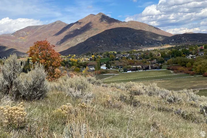View of mountain background