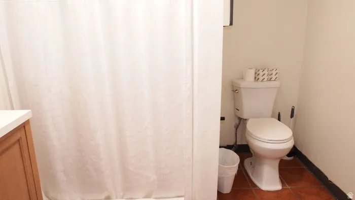 Full bath featuring curtained shower, dark tile patterned floors, and vanity