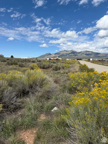View of mountain background