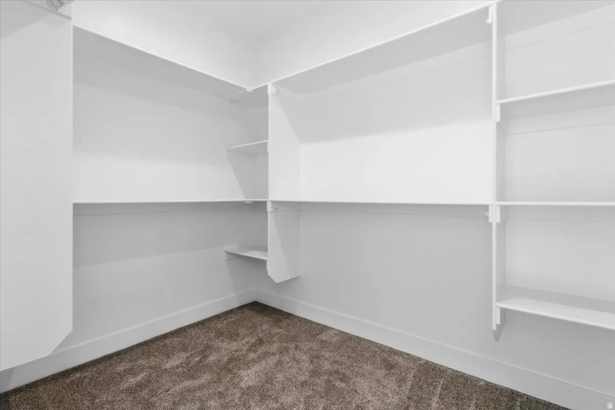 Spacious closet featuring dark carpet
