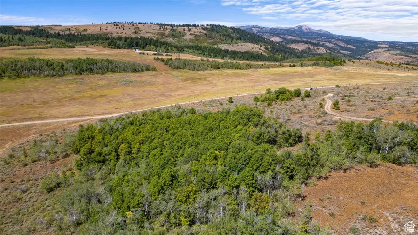 Drone / aerial view of a mountain backdrop