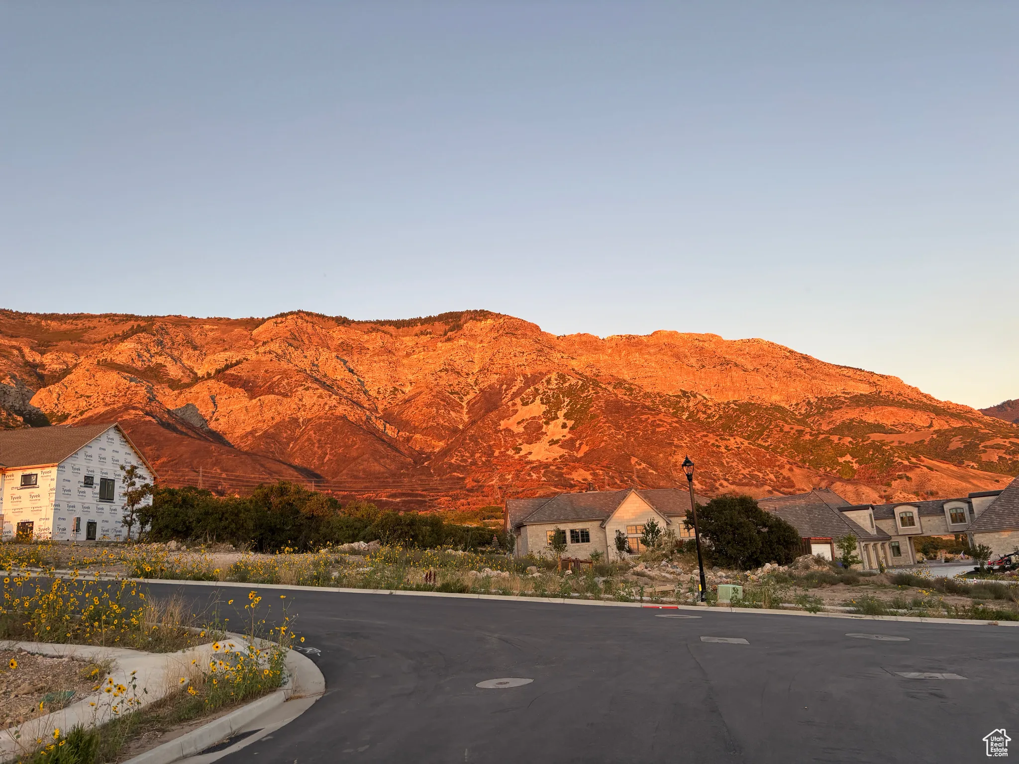 Mountain view