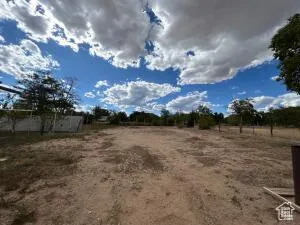 Huge Yard - bring the horses and chickens