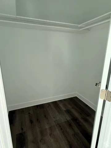 Walk in closet with dark wood finished floors