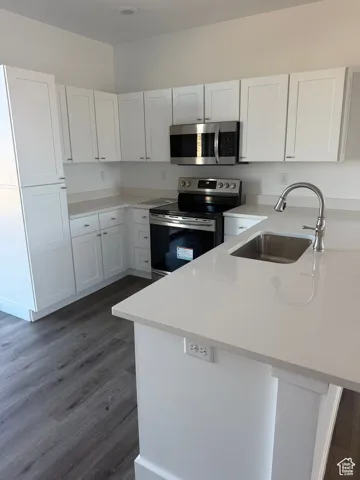 Kitchen featuring stainless steel appliances, a peninsula, white cabinetry, and dark wood finished floors