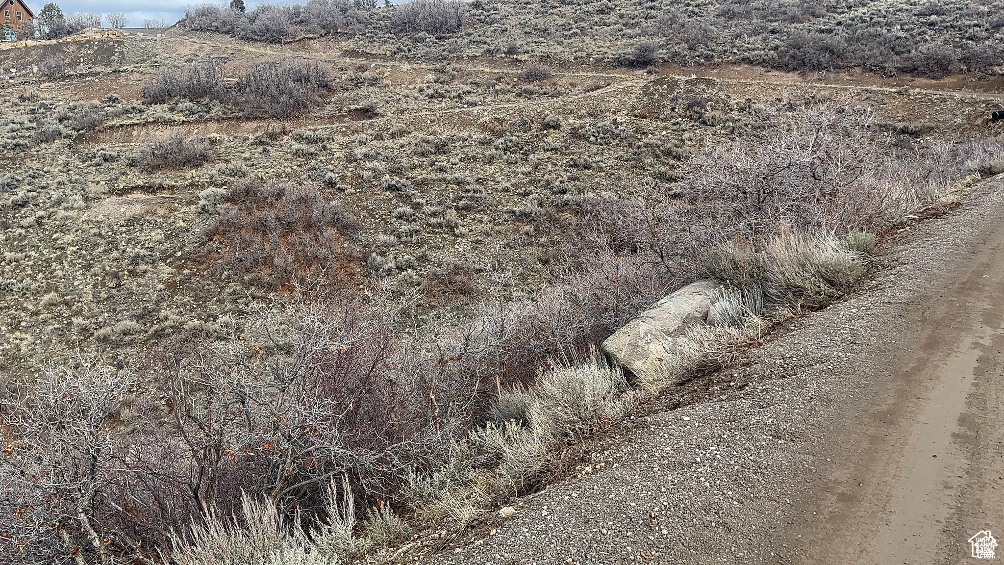 View of nature