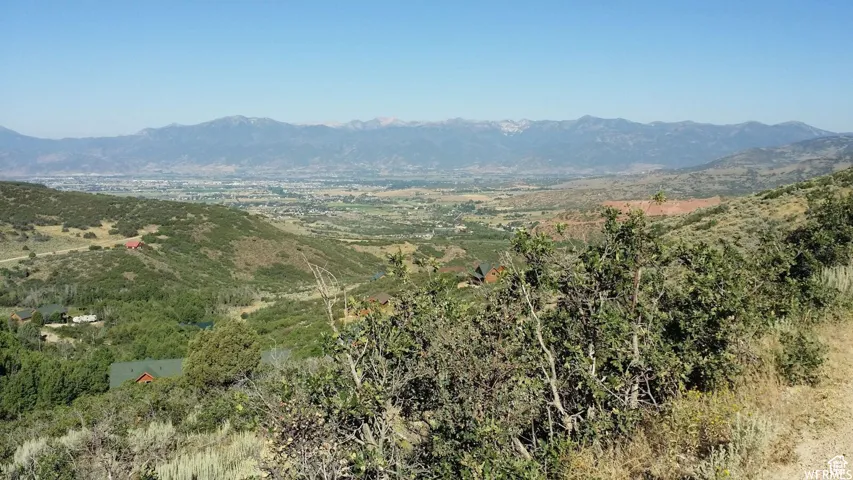 View of mountain background featuring a heavily wooded area