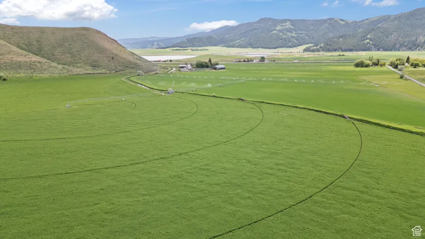 View of property's community with a mountain view and a yard