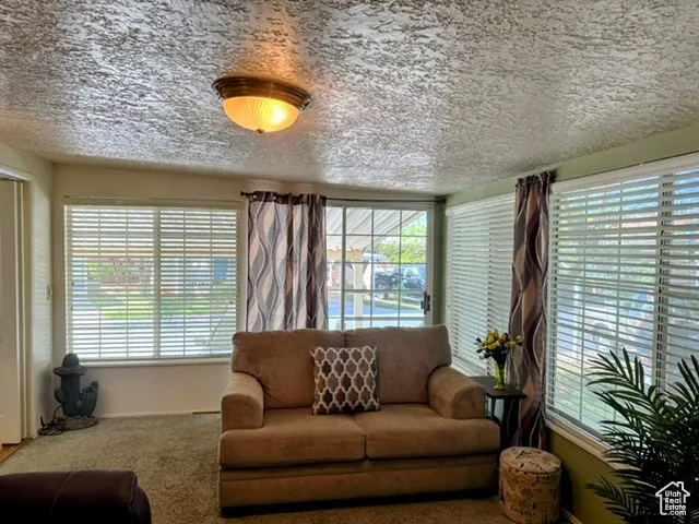 Carpeted living area with plenty of natural light and a textured ceiling