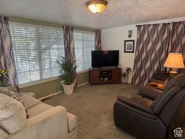 Living room featuring a textured ceiling and carpet floors