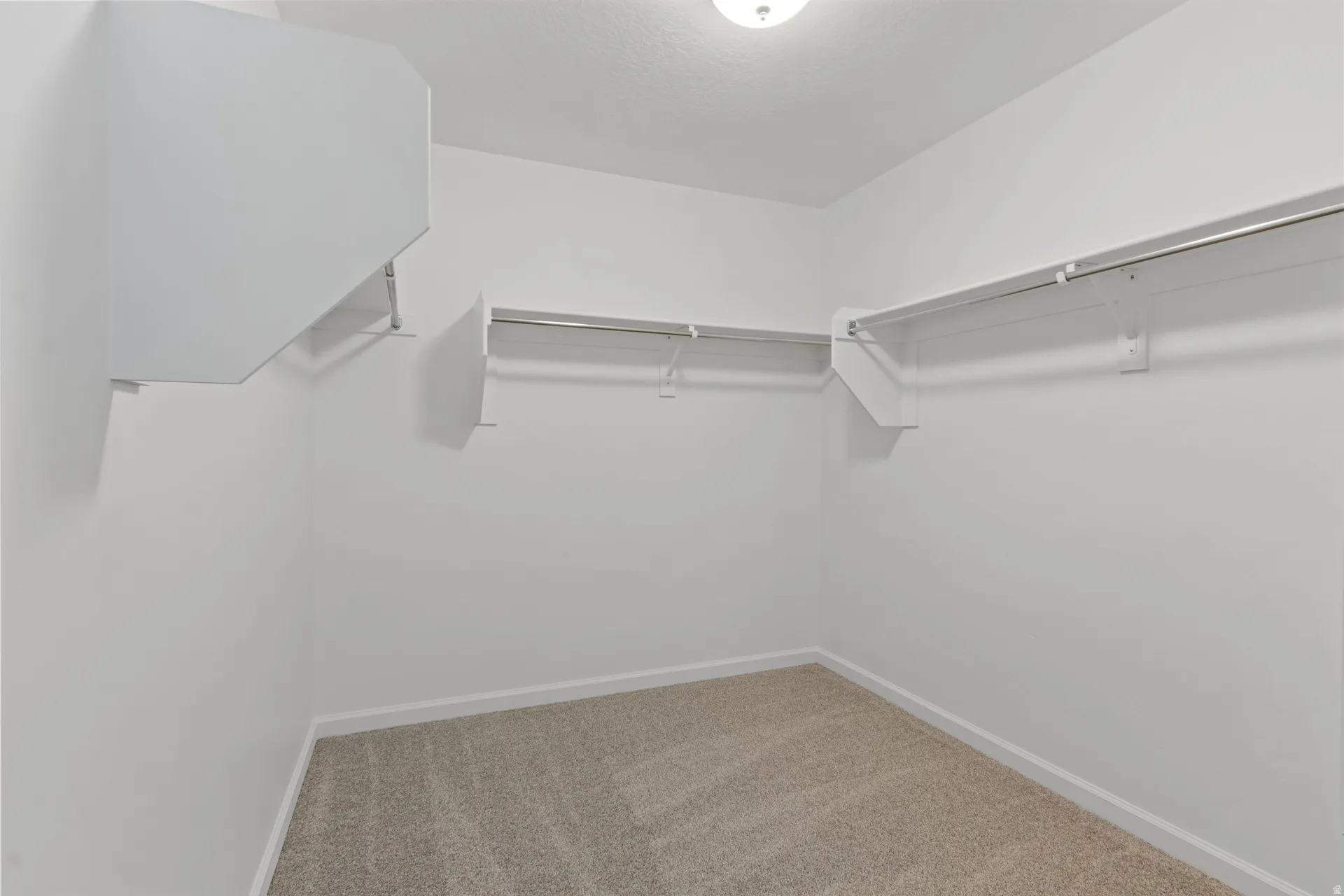 Primary walk-in closet featuring carpet floors