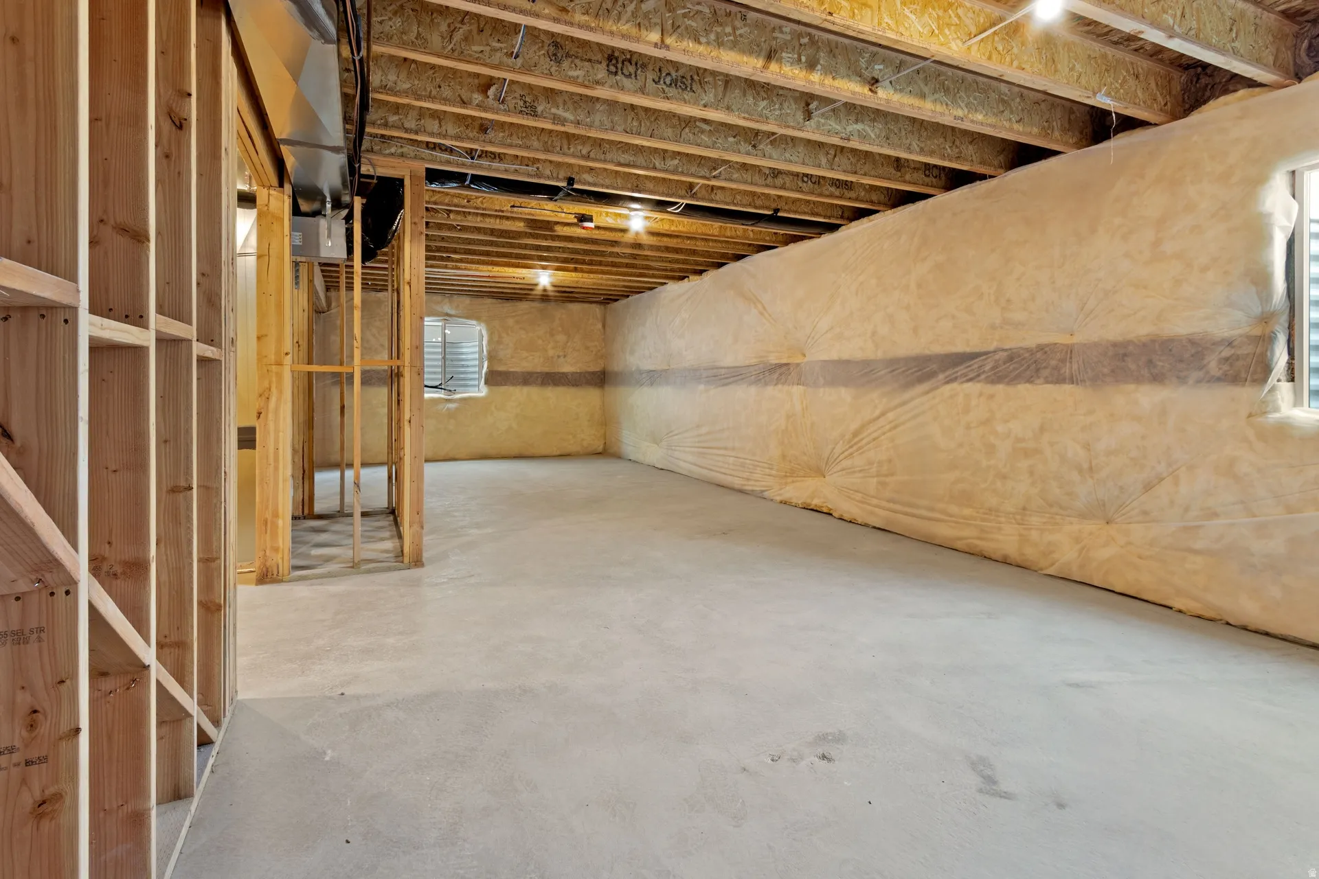 View of unfinished basement
