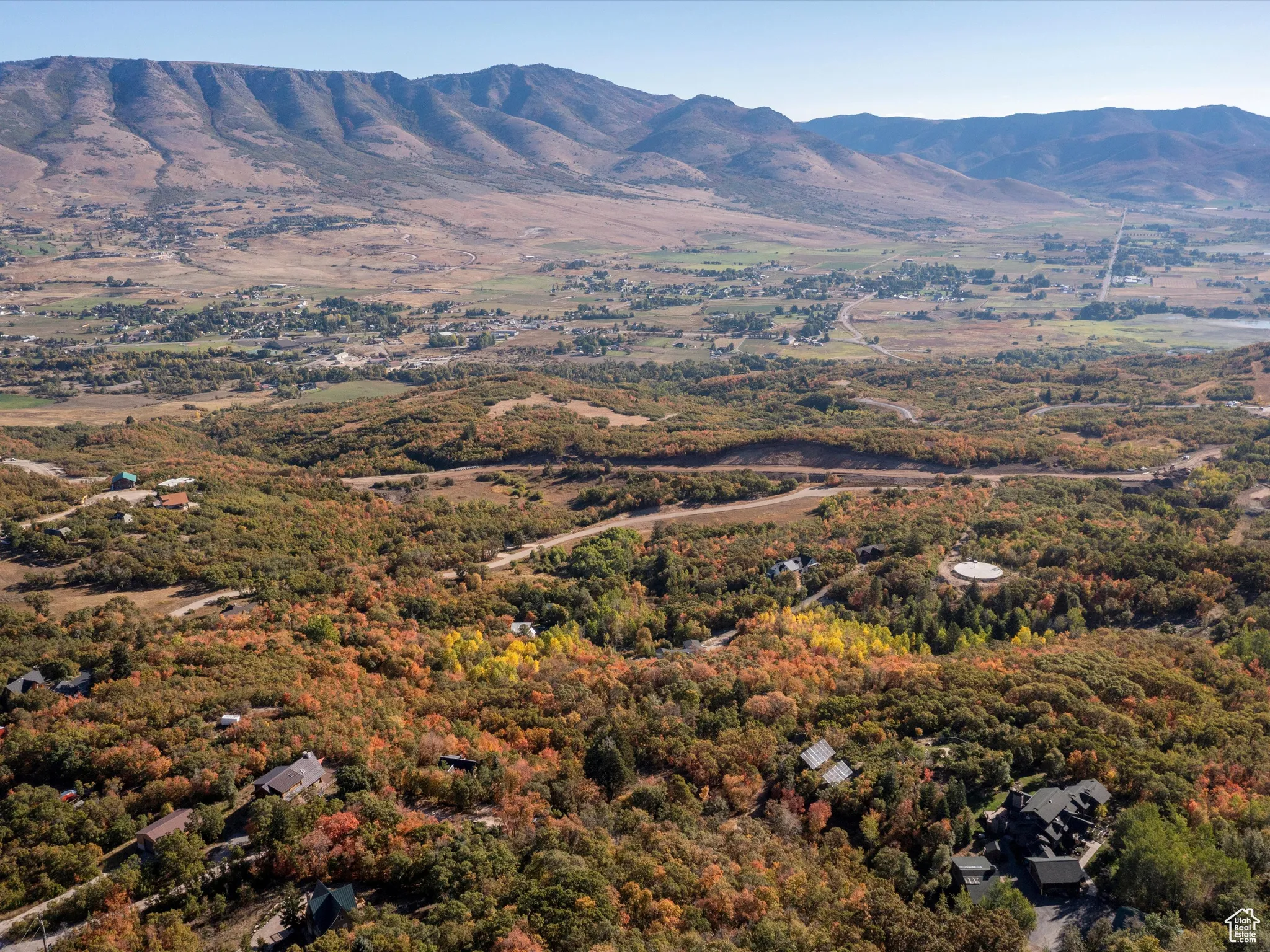 Mountain view with a forest