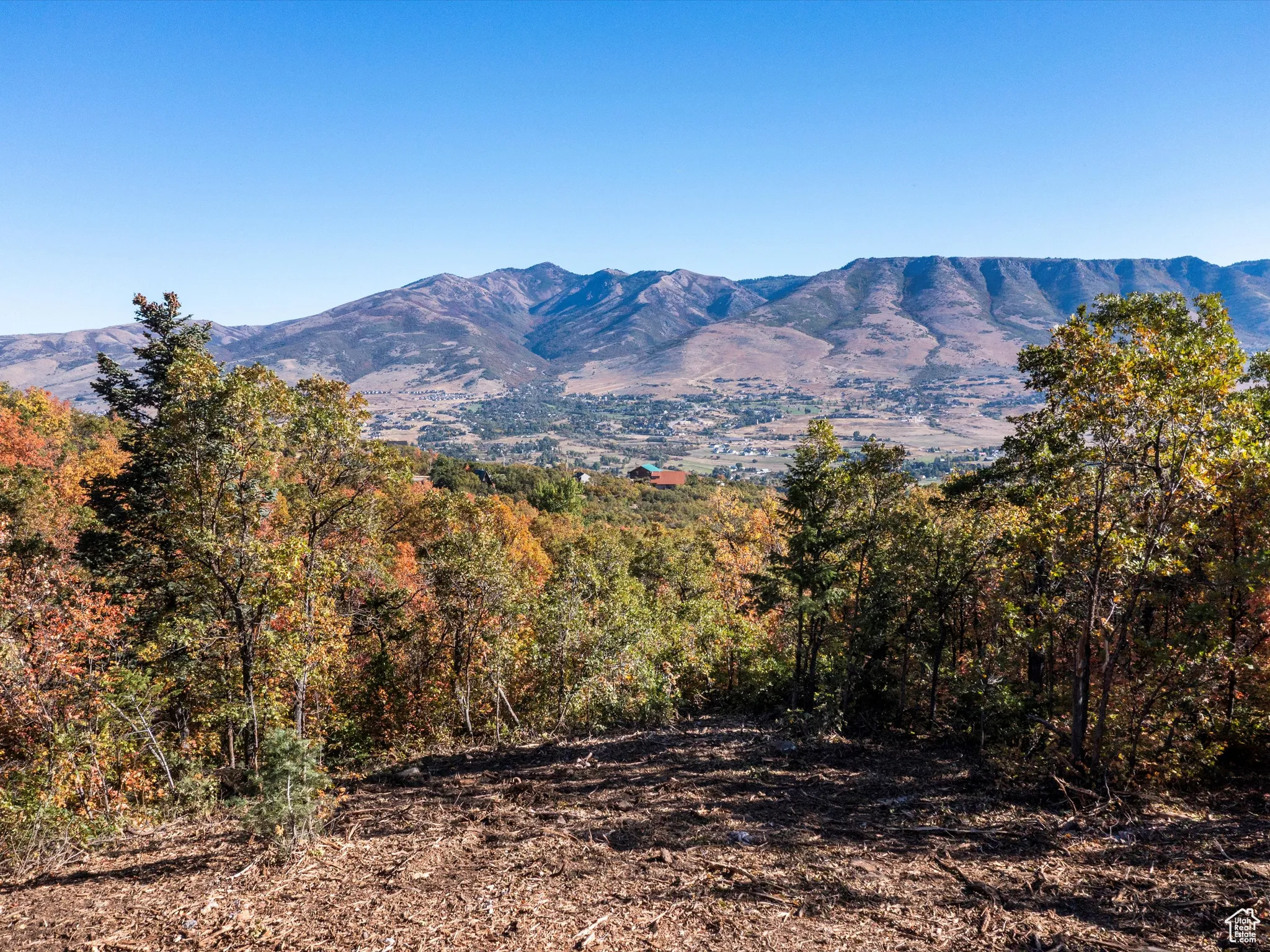 Mountain view
