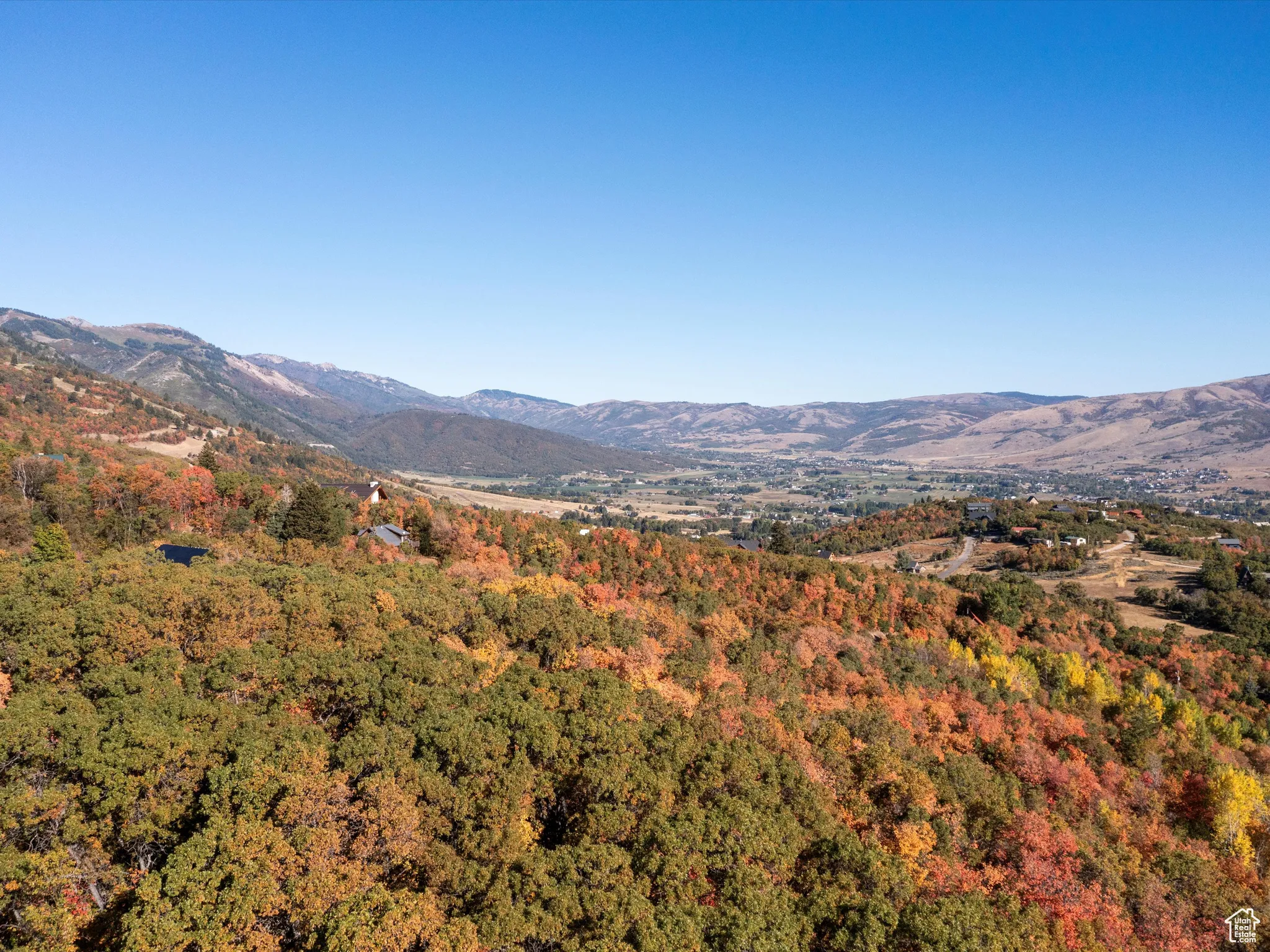 View of mountain backdrop with a heavily wooded area